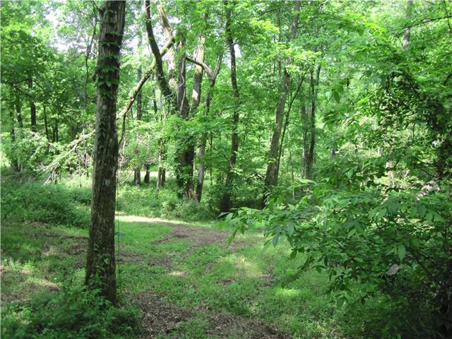 6416 Prospect Road Prospect, TN 38477 - Photo 8 of 9 a view of a lush green forest