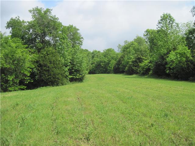 6416 Prospect Road Prospect, TN 38477 - Photo 9 of 9 a view of a grassy field with trees in the background