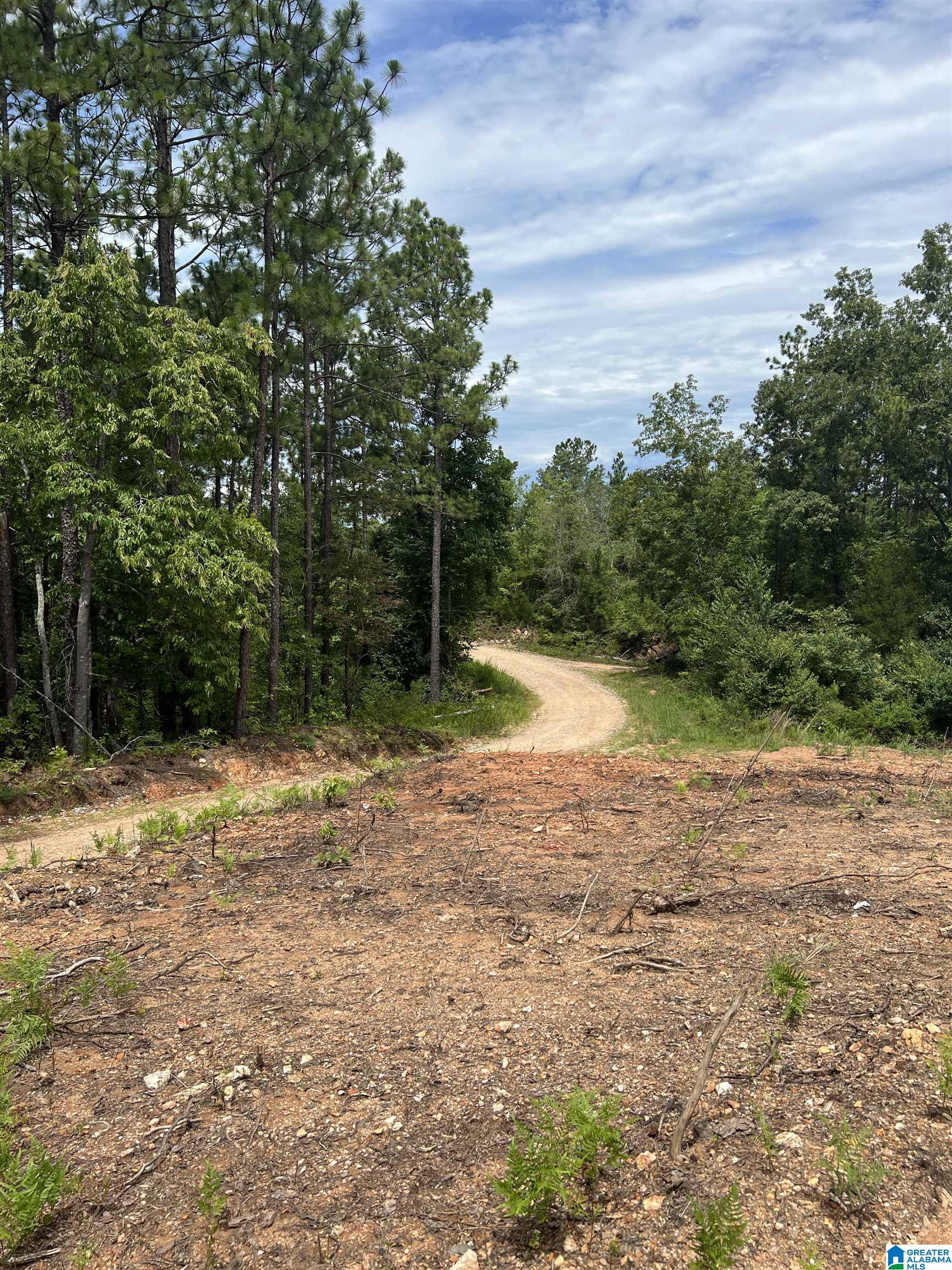 0 County Road 188 Clanton, AL 35046 - Photo 17 of 20