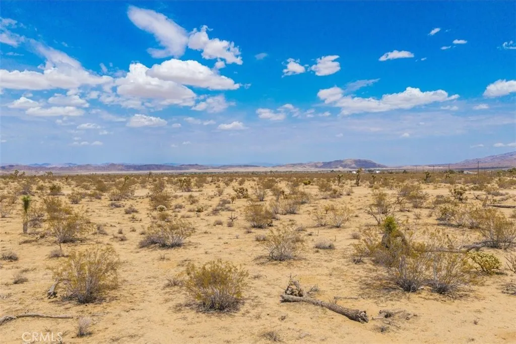 6127 Two Mile Joshua Tree, CA 92252 - Photo 16 of 19 a view of a pathway with a yard in back