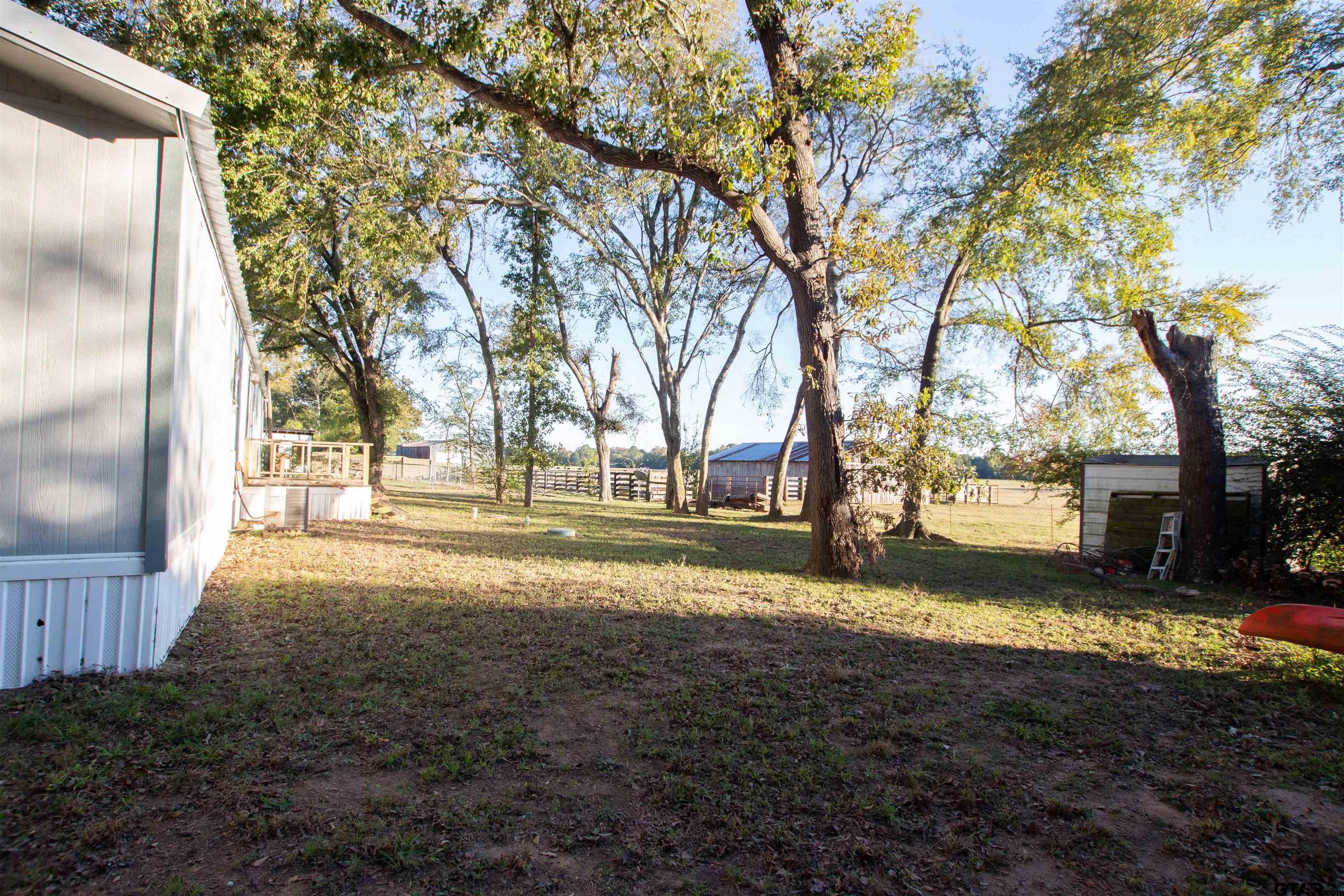 22908 Shell Shore Drive Bullard, TX 75757 - Photo 19 of 20 a view of yard with tree s