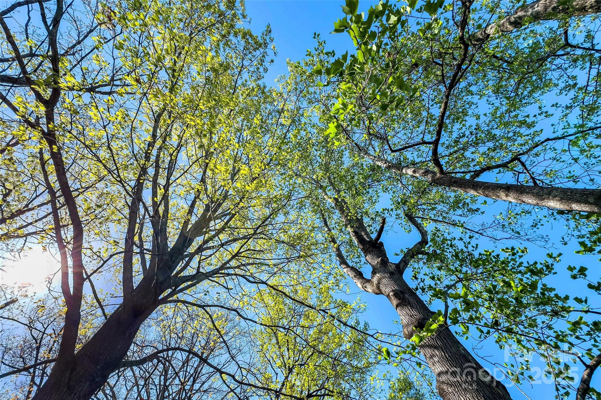 36 Catawba Street Marion, NC 28752 - Photo 13 of 30