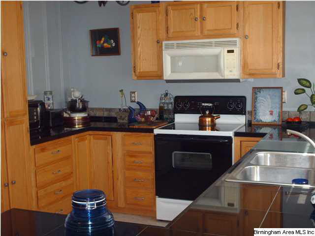 306 Janney Road Ohatchee, AL 36271 - Photo 5 of 31