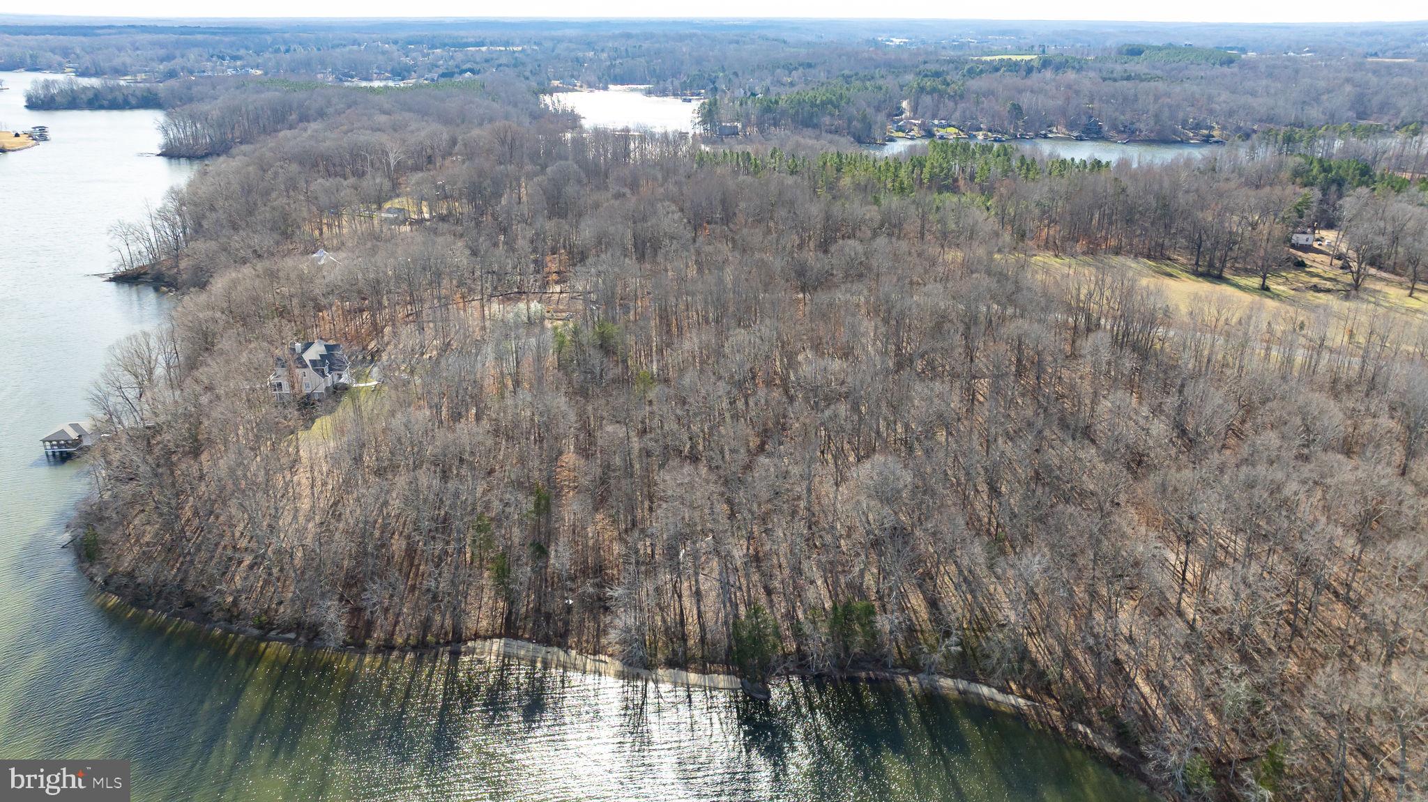 16100 Harris Court Orange, VA 22960 - Photo 15 of 18 a view of river covered by trees and trees