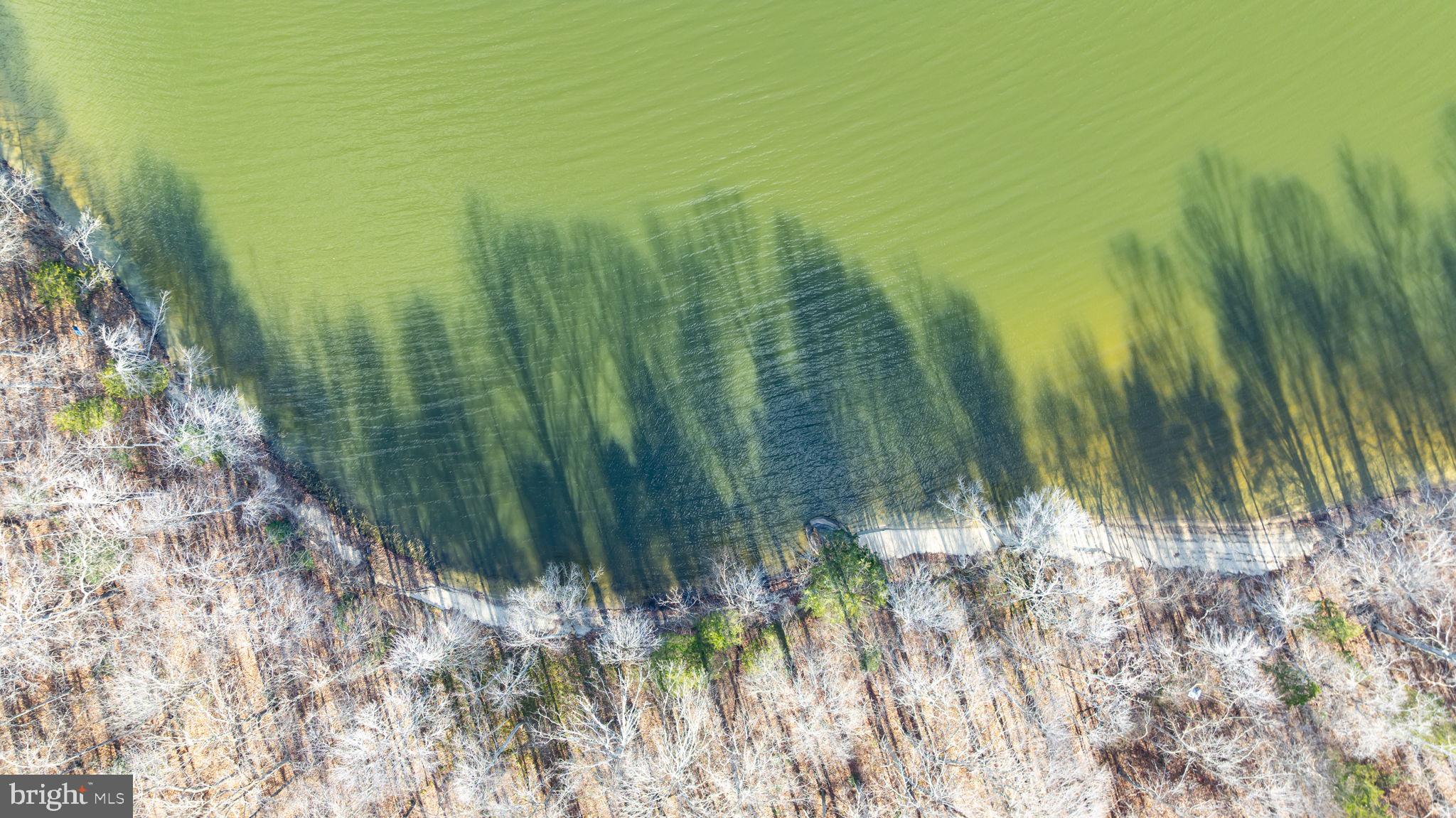 16100 Harris Court Orange, VA 22960 - Photo 16 of 18 a view of a yard