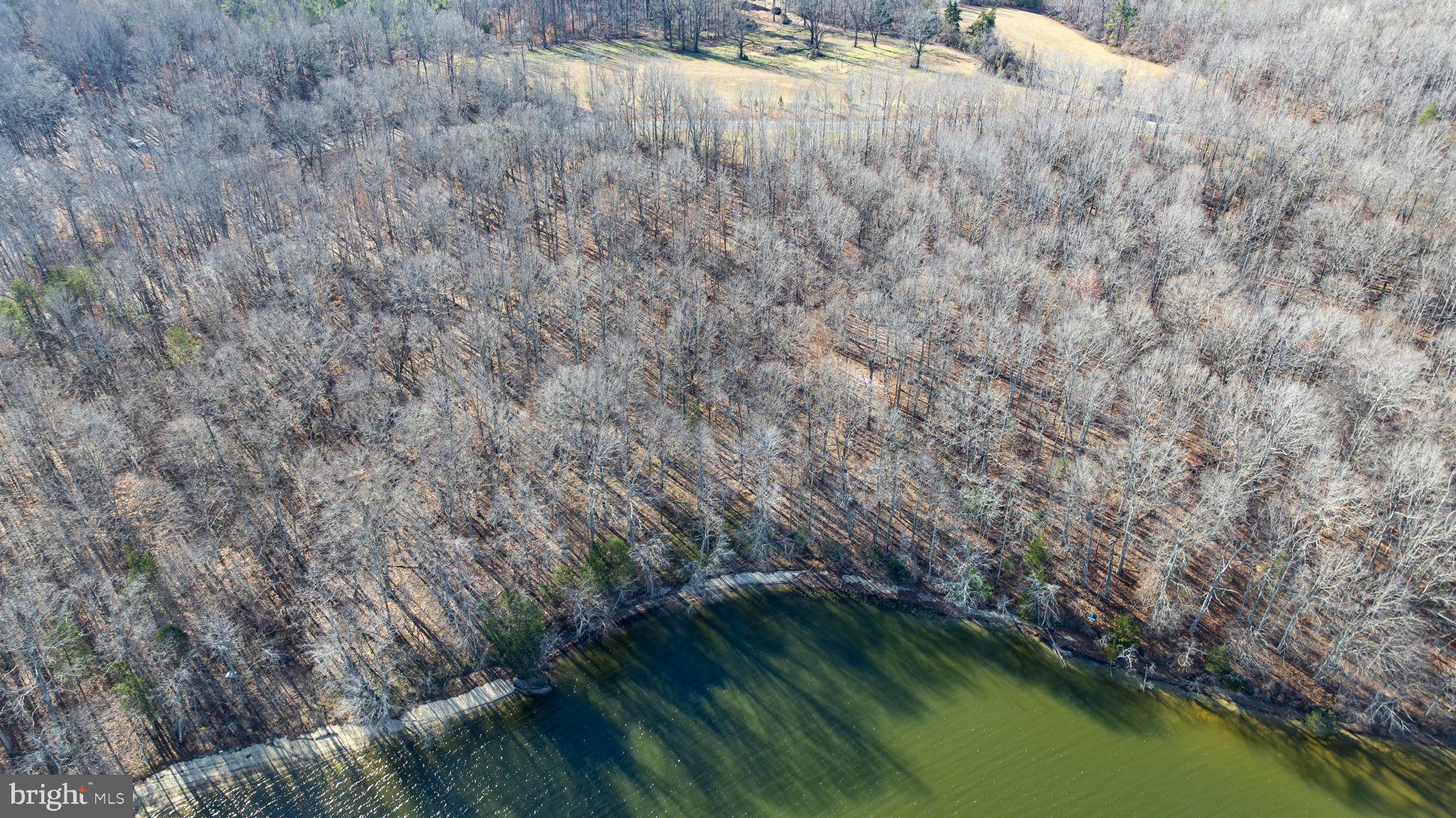 16100 Harris Court Orange, VA 22960 - Photo 18 of 18 a view of a lake from a balcony