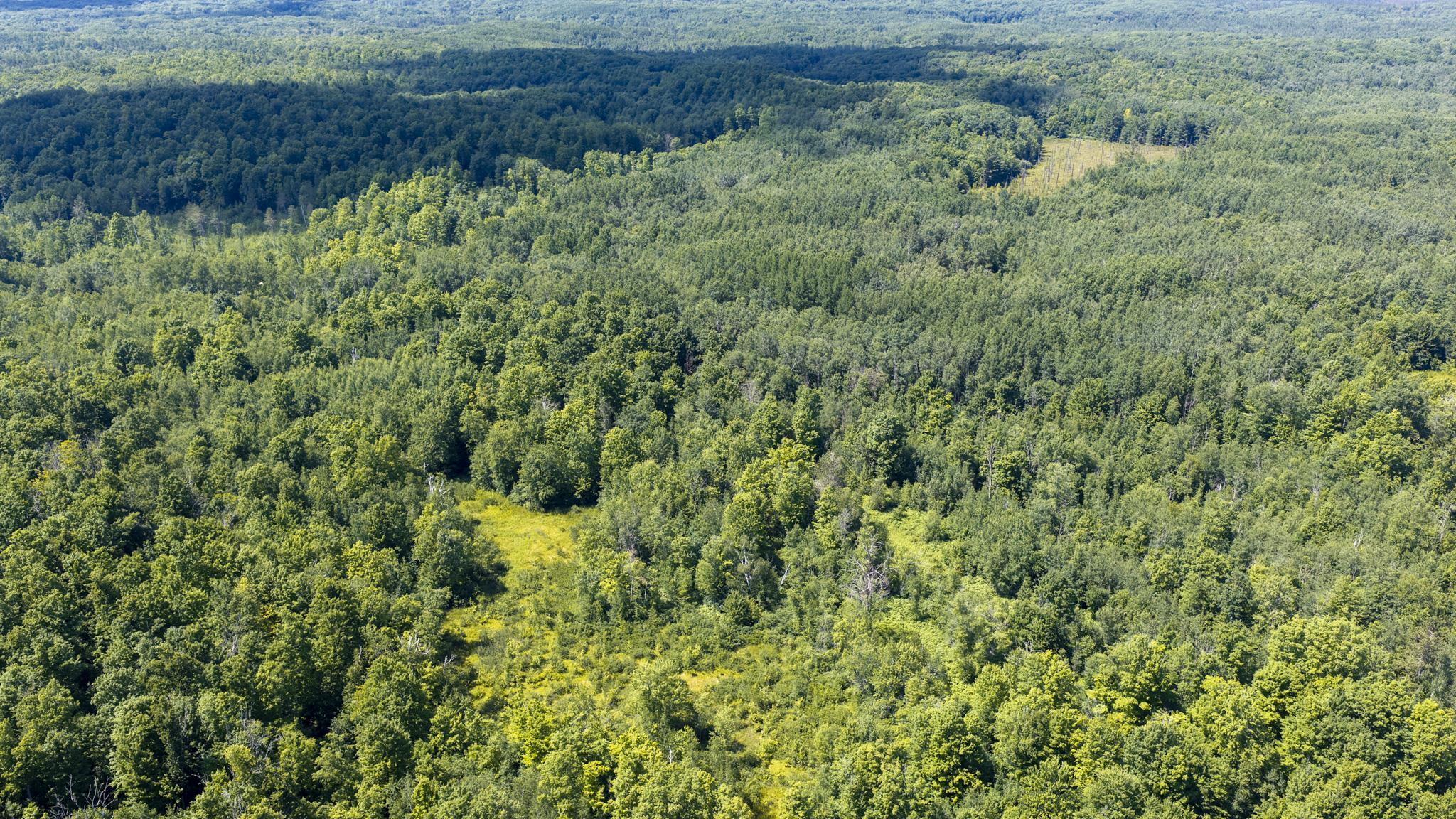1030 Mayhew Road Rose City, MI 48654 - Photo 11 of 32