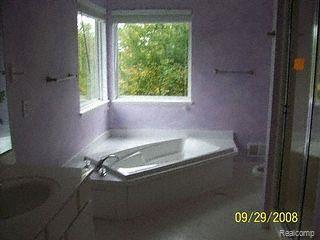 9685 Andersonville Road Clarkston, MI 48346 - Photo 7 of 8 Master Bath