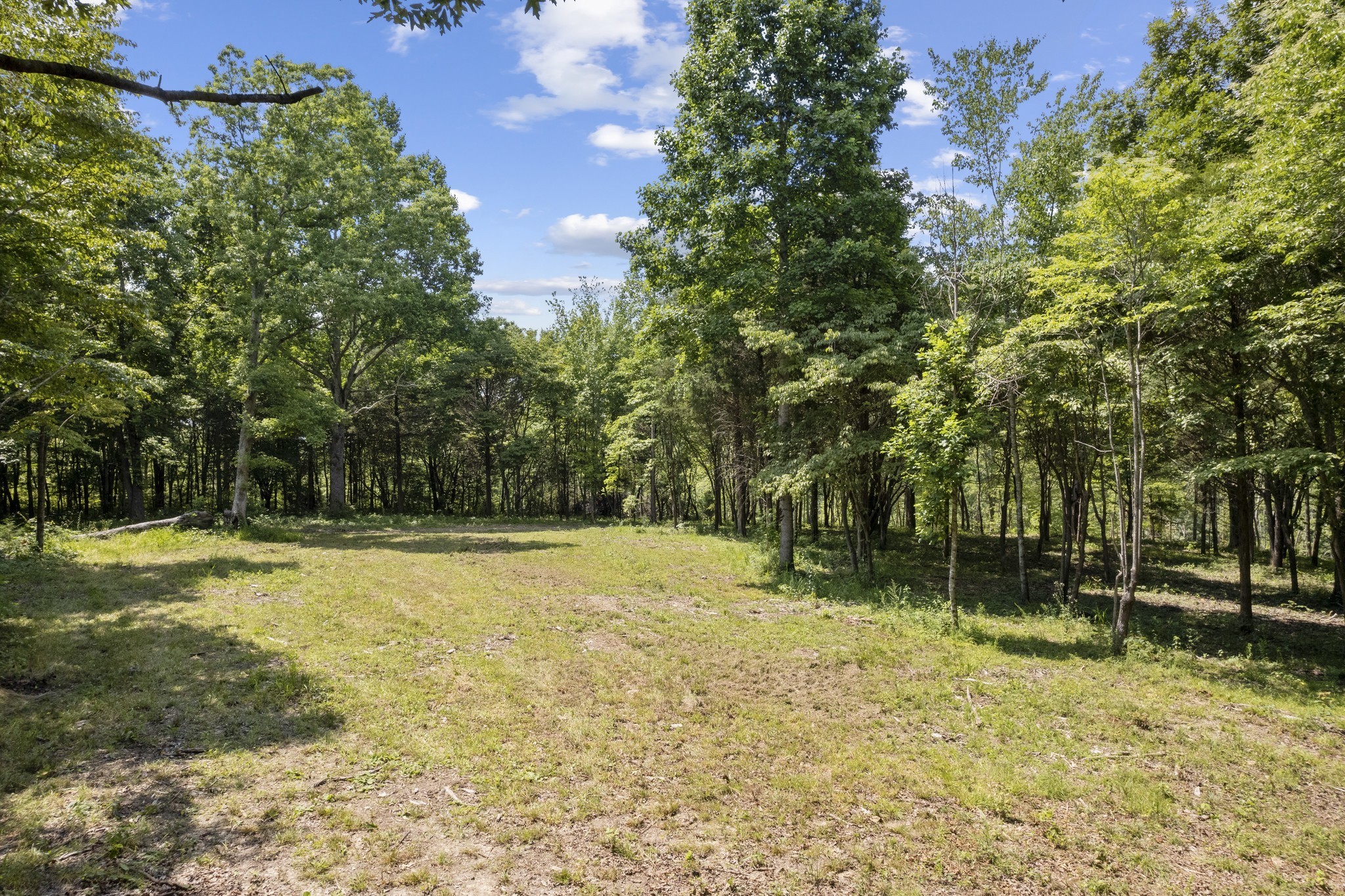 0 Daugherty-Capley Road Primm Springs, TN 38476 - Photo 14 of 38 a view of a yard with trees