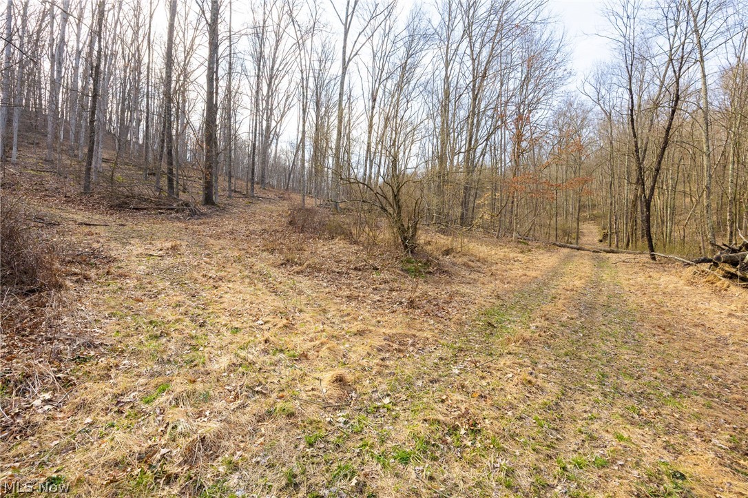 71 Township Road Killbuck, OH 44637 - Photo 35 of 39