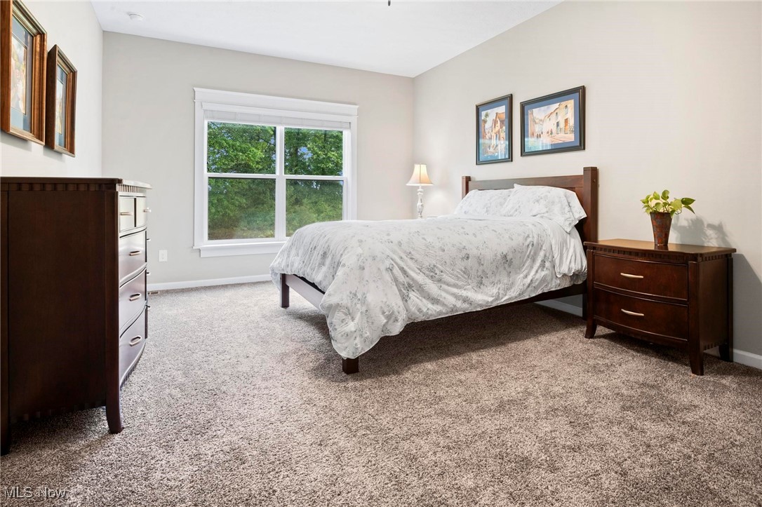 6824 Hatching Way North Ridgeville, OH 44039 - Photo 16 of 42 View of carpeted bedroom