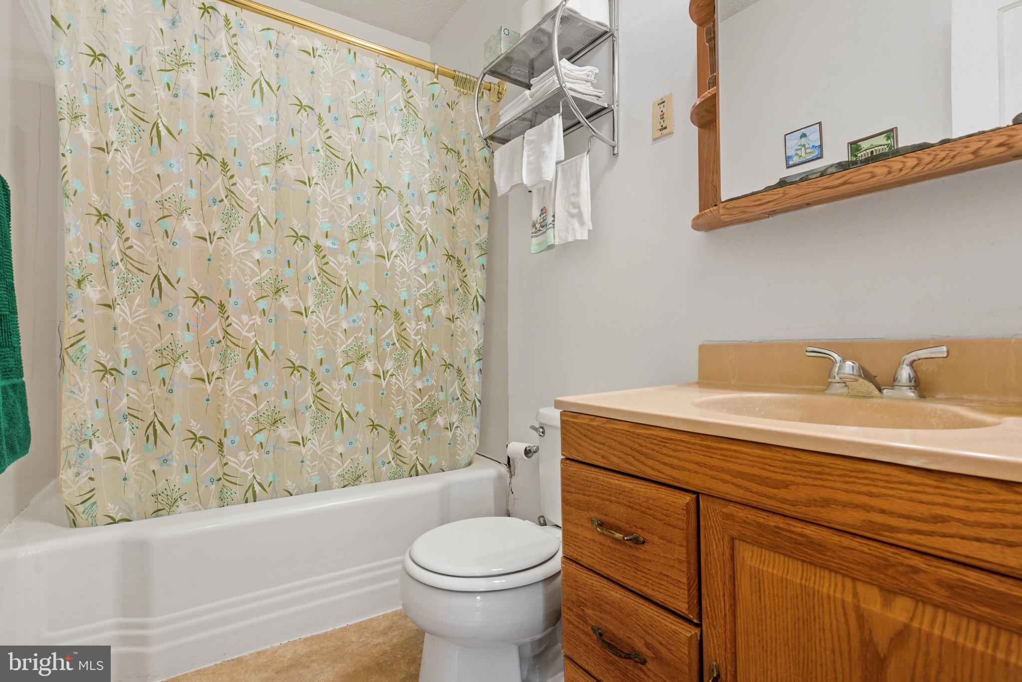 24258 Somerville Road Mitchells, VA 22729 - Photo 23 of 23 Full Bathroom