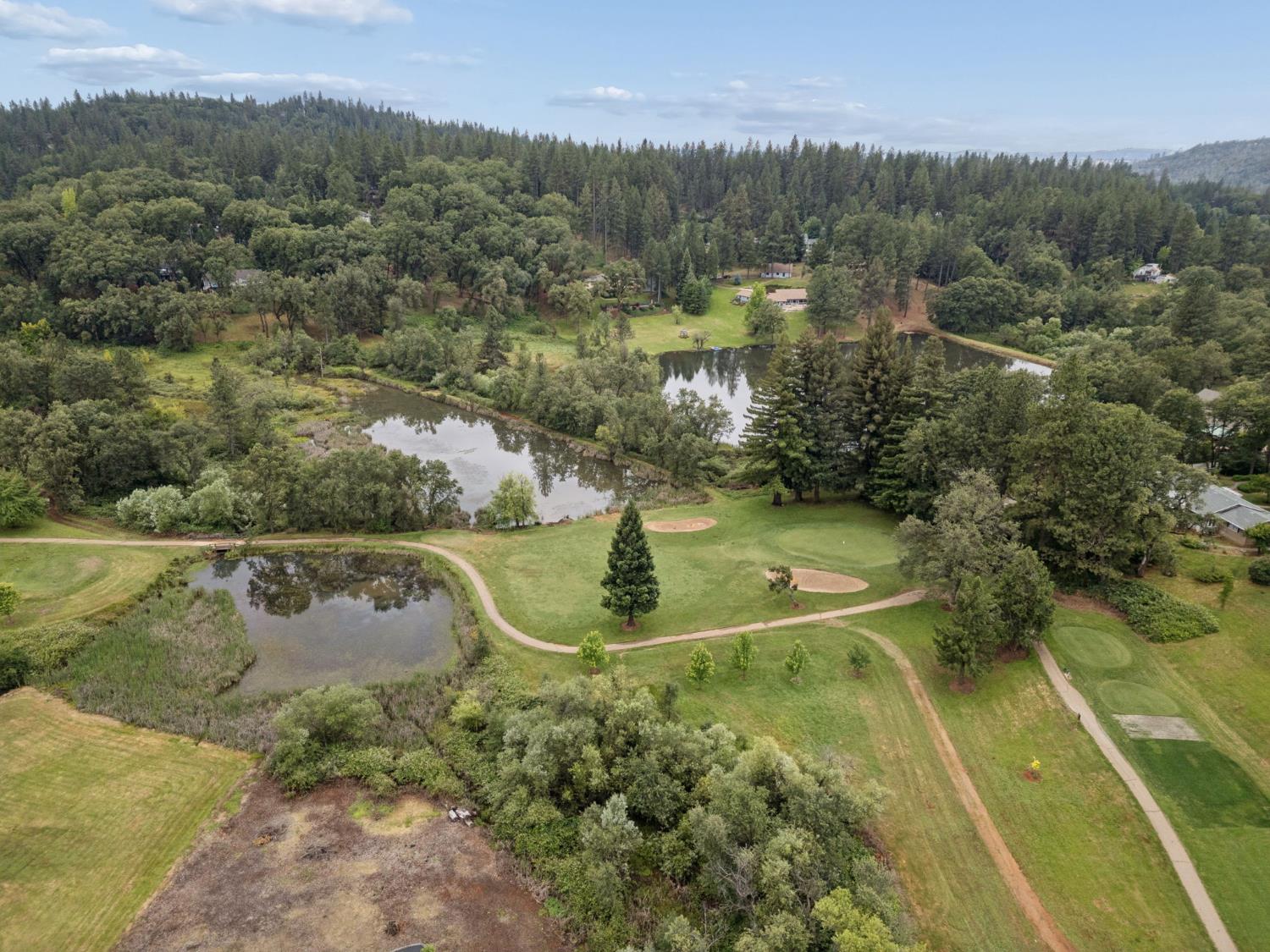 11183 Sunset Way Grass Valley, CA 95949 - Photo 47 of 49