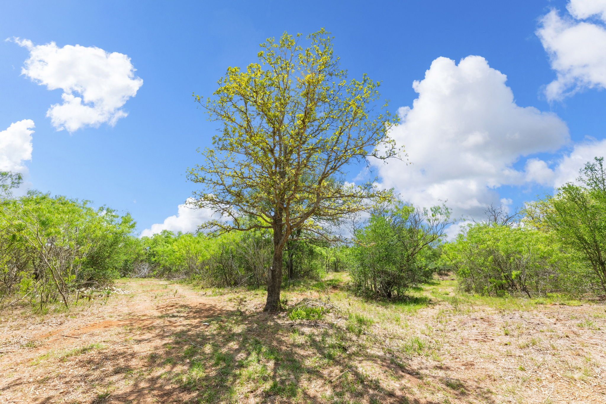 340 Red Hawk Drive Dale, TX 78616 - Photo 34 of 38 View of local wilderness