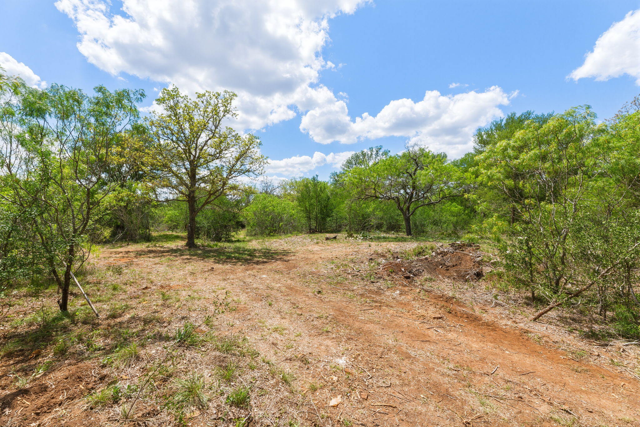 340 Red Hawk Drive Dale, TX 78616 - Photo 34 of 39 View of nature