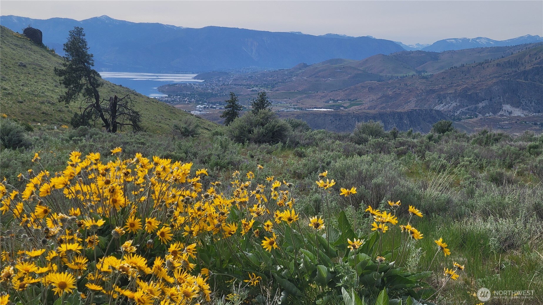 0 Coyotes Curv Road Orondo, WA 98843 - Photo 1 of 20
