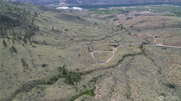 a view of a dry yard