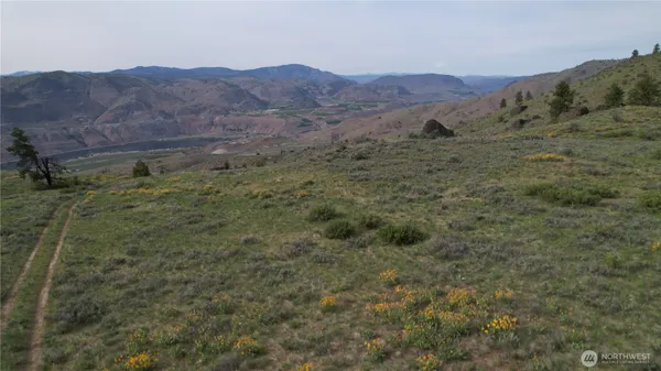 a view of a forest with mountains in the background