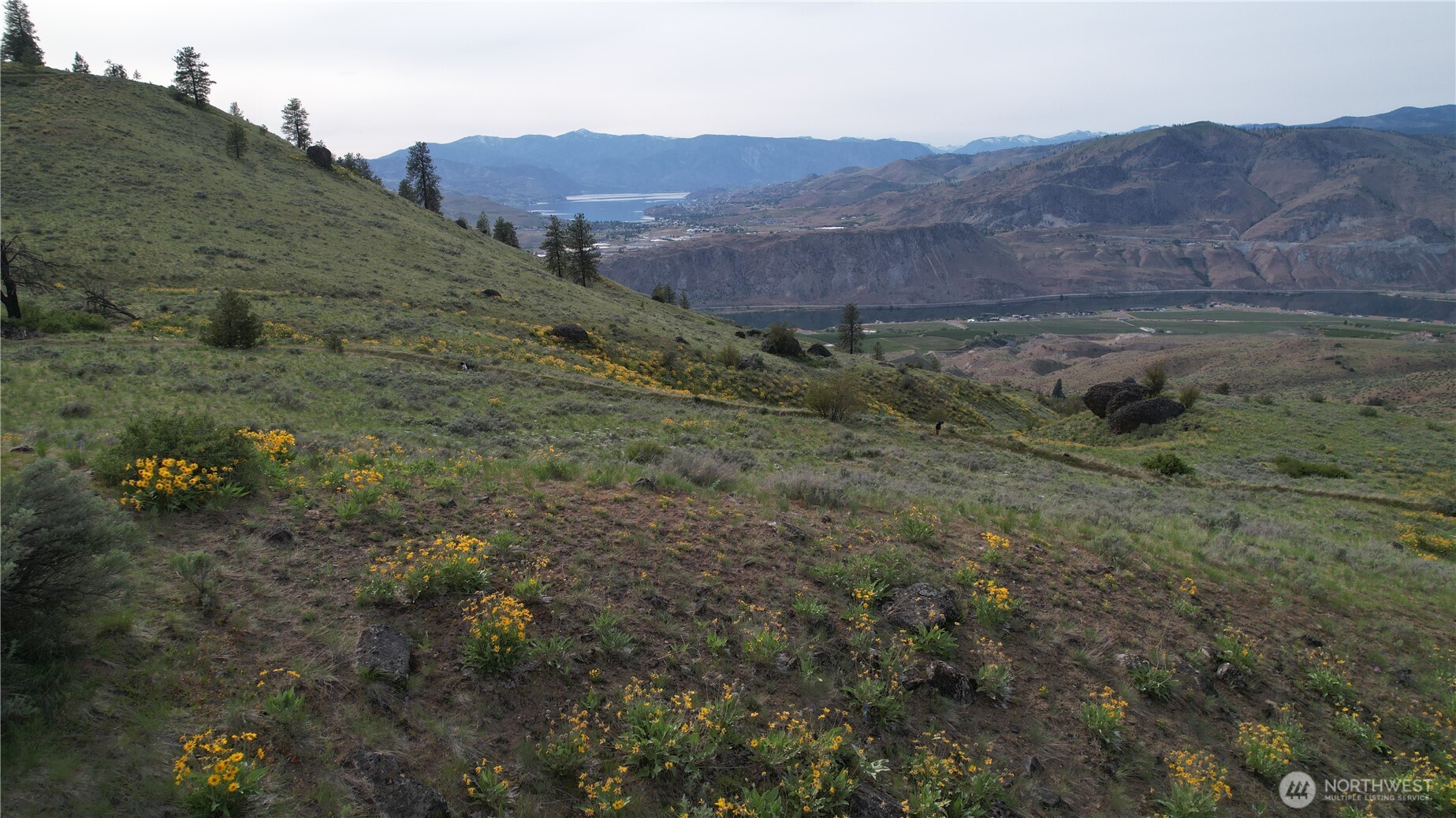 0 Coyotes Curv Road Orondo, WA 98843 - Photo 16 of 20