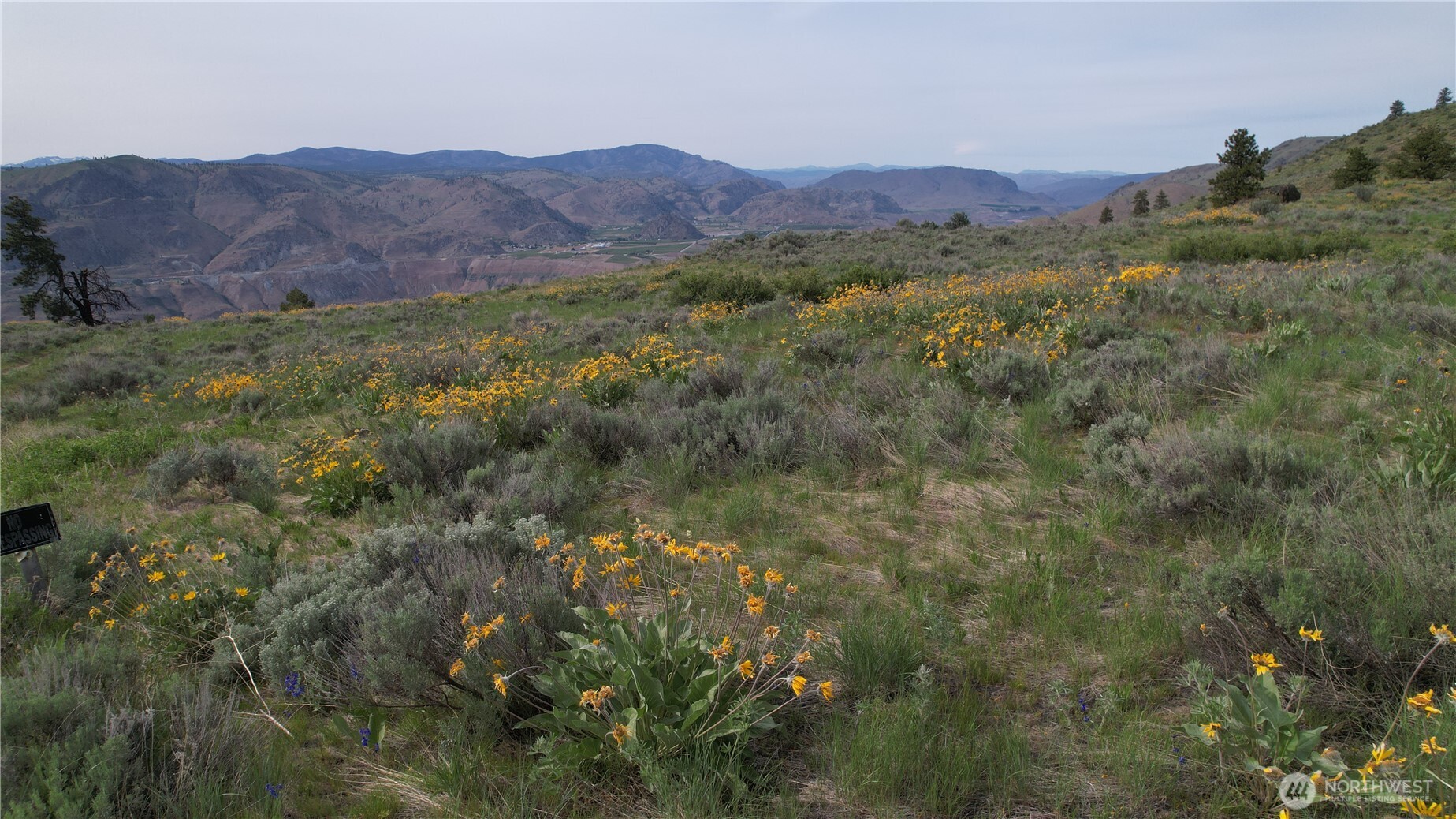 0 Coyotes Curv Road Orondo, WA 98843 - Photo 17 of 20