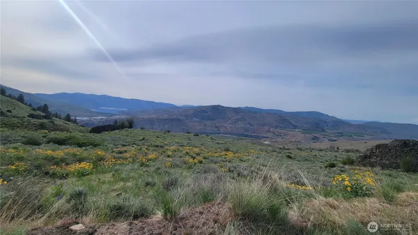 a view of a lush green field with mountains in the background