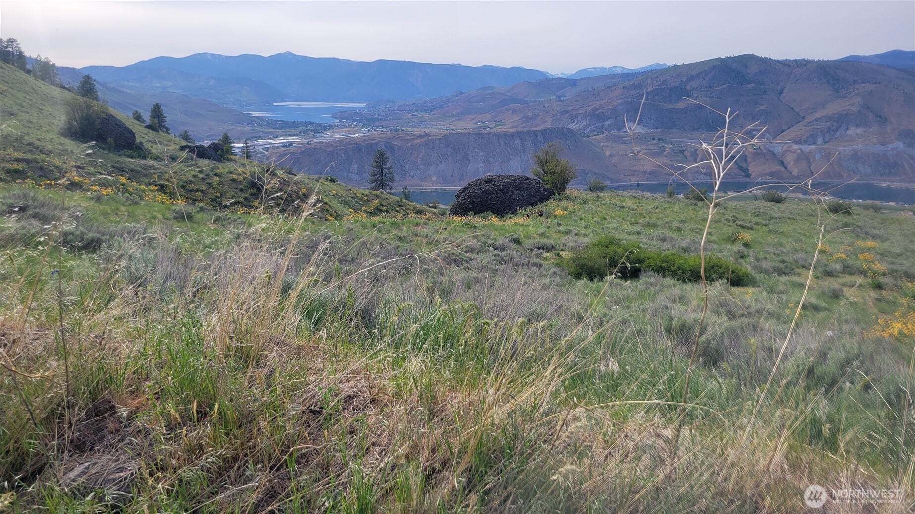 0 Coyotes Curv Road Orondo, WA 98843 - Photo 5 of 20