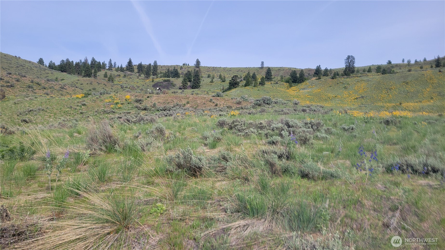 0 Coyotes Curv Road Orondo, WA 98843 - Photo 6 of 20