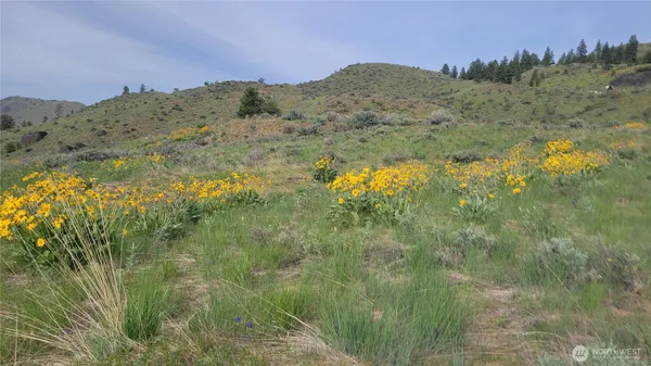 a view of mountain view with mountains in the background