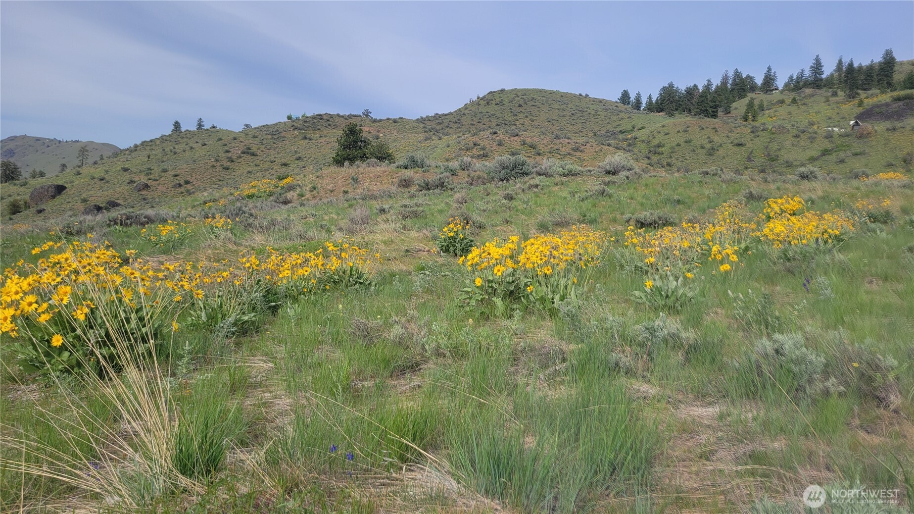 0 Coyotes Curv Road Orondo, WA 98843 - Photo 7 of 20