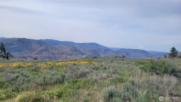 a view of a lush green field with mountains in the background