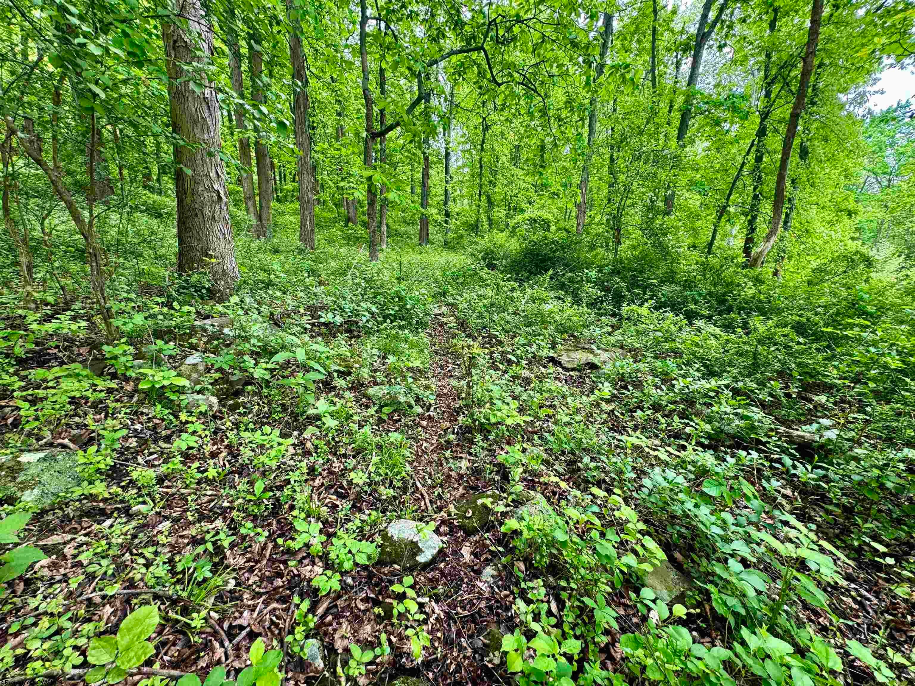 Tbd Hopewell Road Fairmont, WV 26554 - Photo 14 of 35 Gallery Image 14