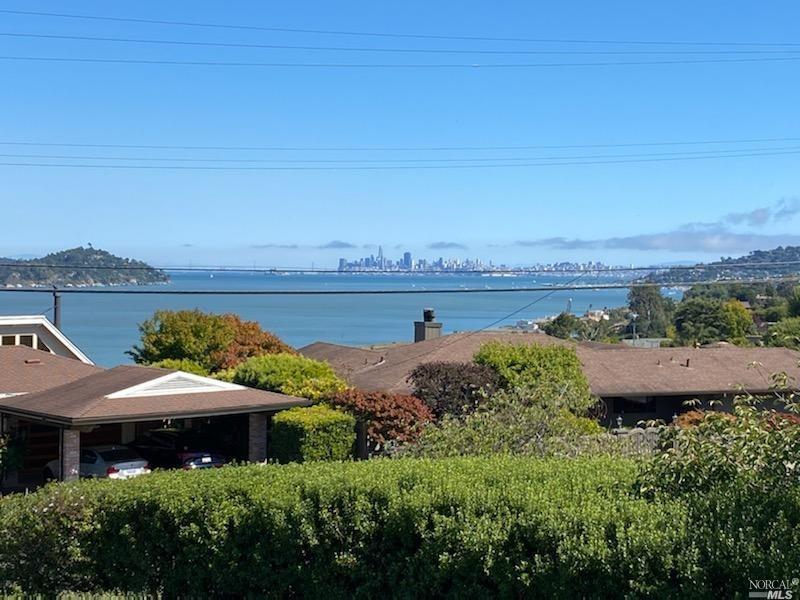 208 Reed Boulevard Mill Valley, CA 94941 - Photo 31 of 47 From the primary deck...