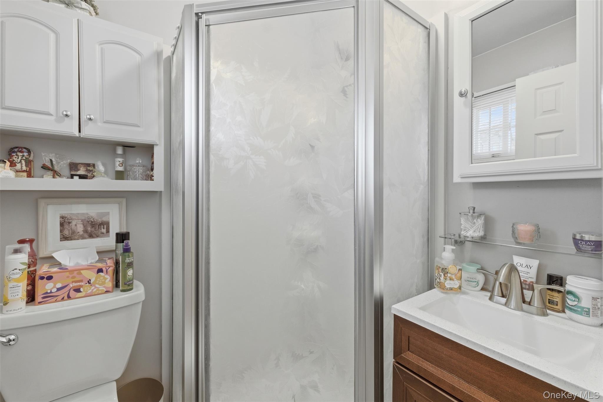 1 Weather Vane Way Middletown, NY 10940 - Photo 20 of 41 a bathroom with a sink a toilet and a window