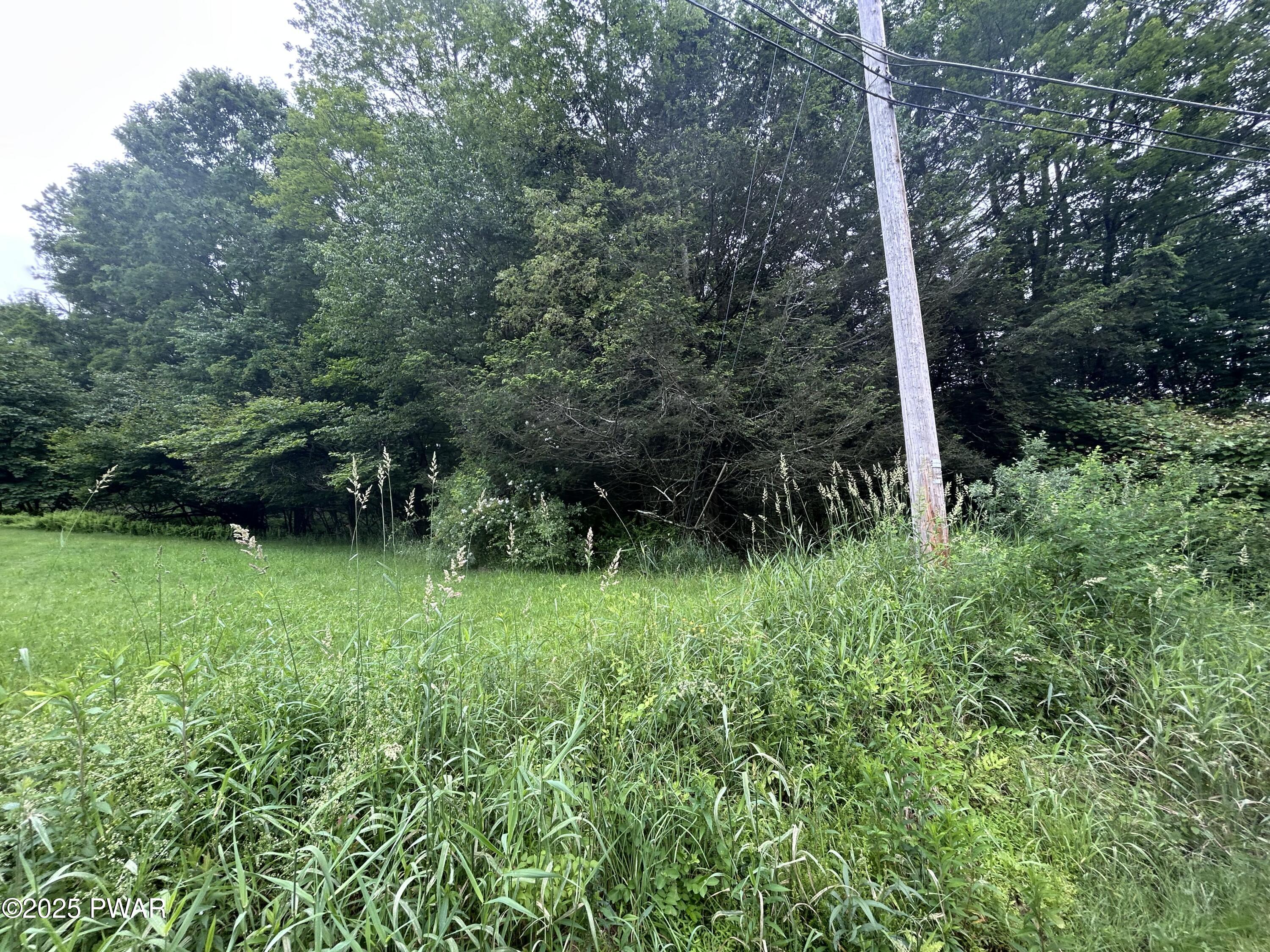 Conklin Hill Road Damascus, PA 18415 - Photo 3 of 7