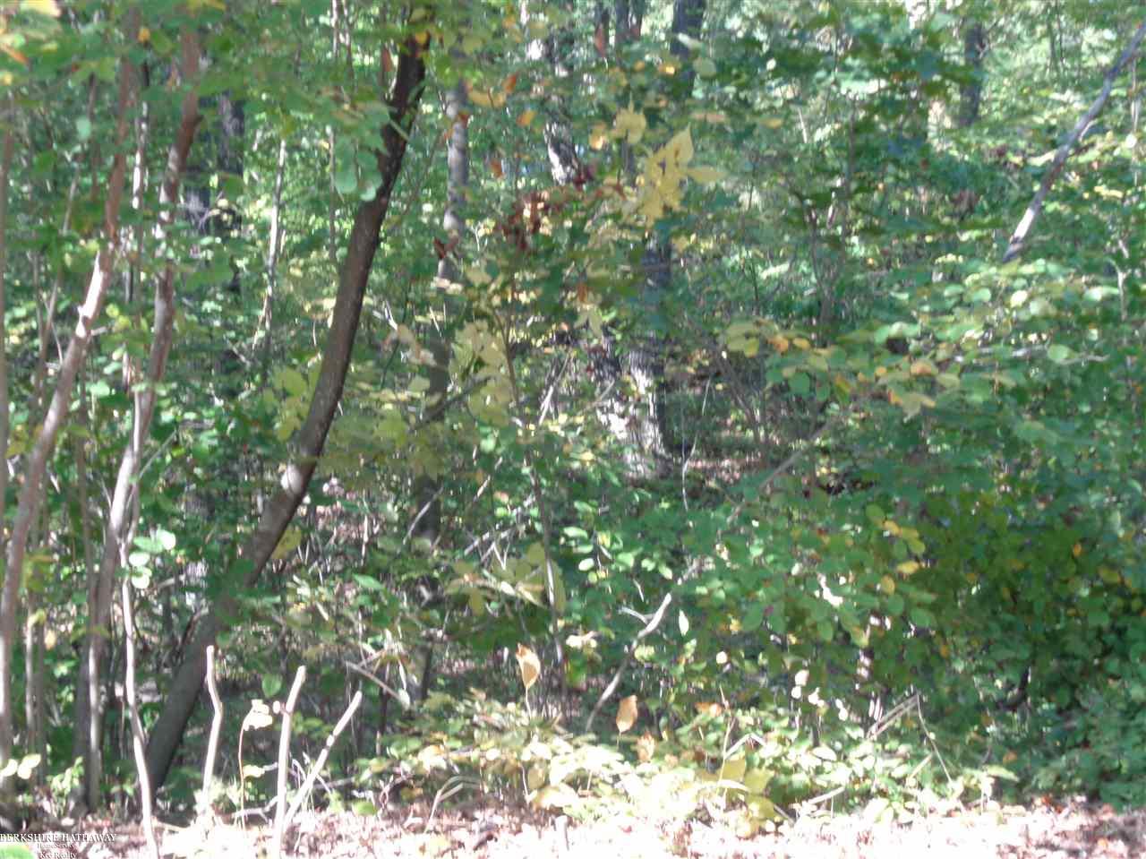 Lot 39 Weaver Rd Port Port Austin, MI 48467 - Photo 3 of 5