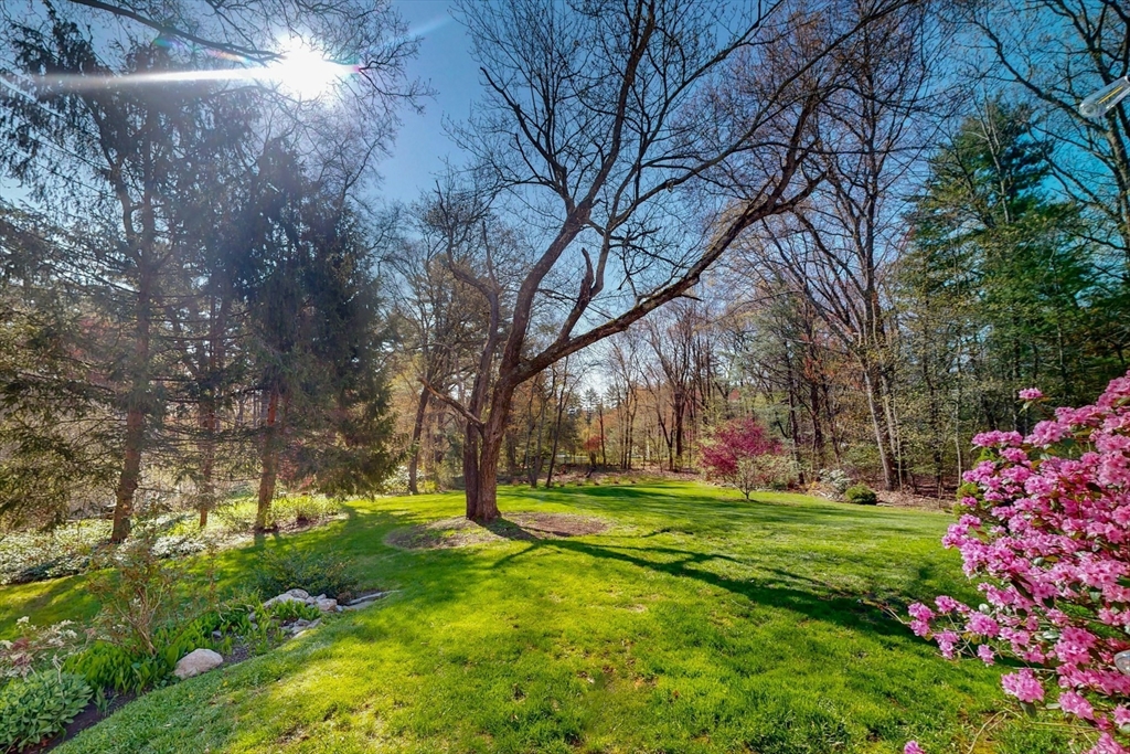 238 Marlboro Road Sudbury, MA 01776 - Photo 38 of 41