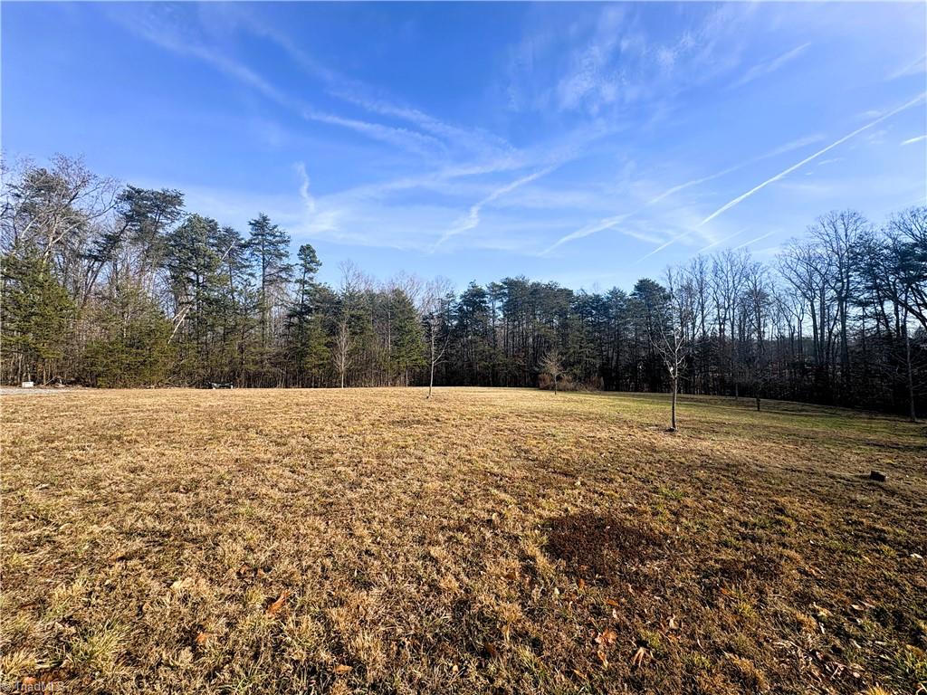 5538 Murphy Road Summerfield, NC 27358 - Photo 1 of 18 Cleared Field View