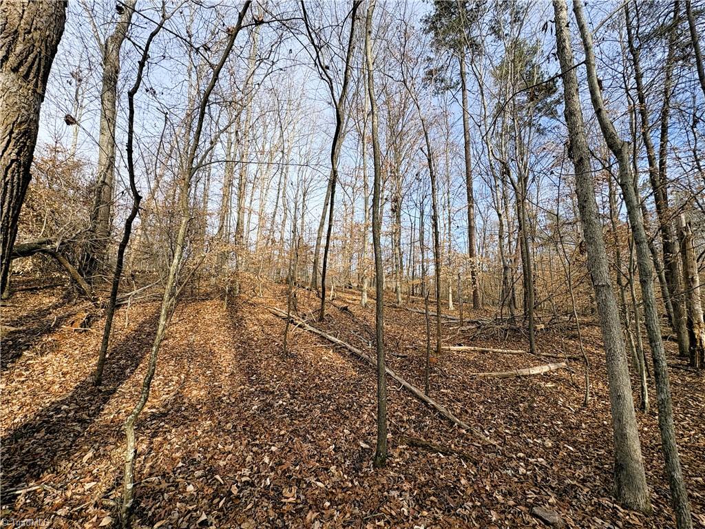 5538 Murphy Road Summerfield, NC 27358 - Photo 11 of 18 View of Hardwoods