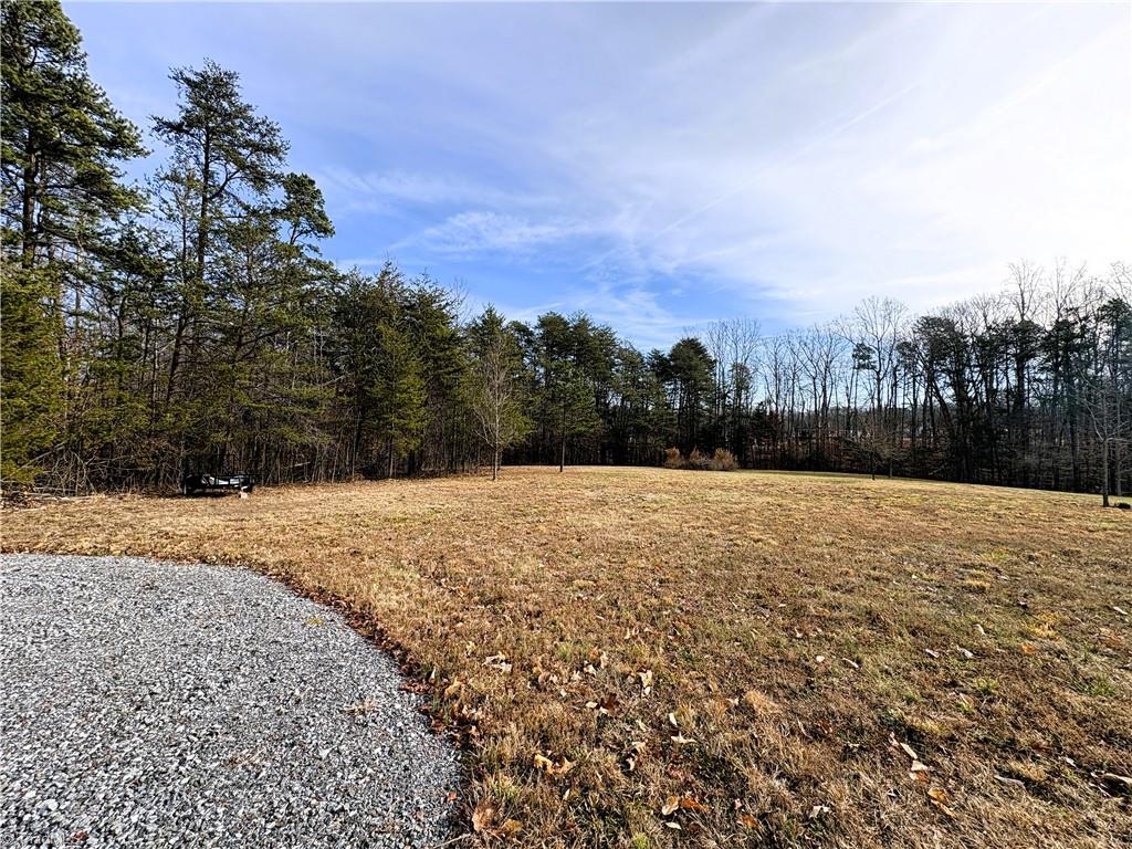 5538 Murphy Road Summerfield, NC 27358 - Photo 14 of 18 Cleared Field View