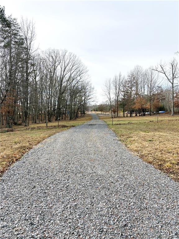 5538 Murphy Road Summerfield, NC 27358 - Photo 15 of 18 View from property looking back towards the road showing gravel road (easement)