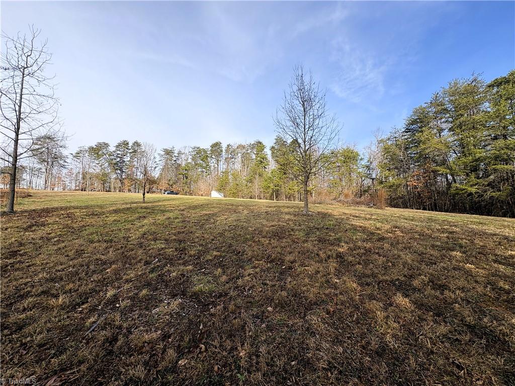 5538 Murphy Road Summerfield, NC 27358 - Photo 8 of 18 Cleared Field View