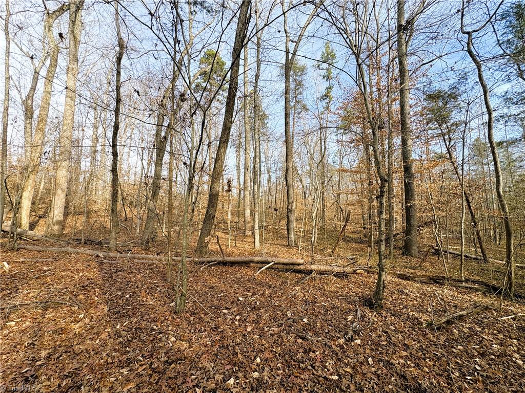 5538 Murphy Road Summerfield, NC 27358 - Photo 9 of 18 View of Hardwoods