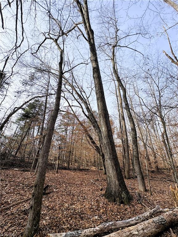 5538 Murphy Road Summerfield, NC 27358 - Photo 10 of 18 View of Hardwoods