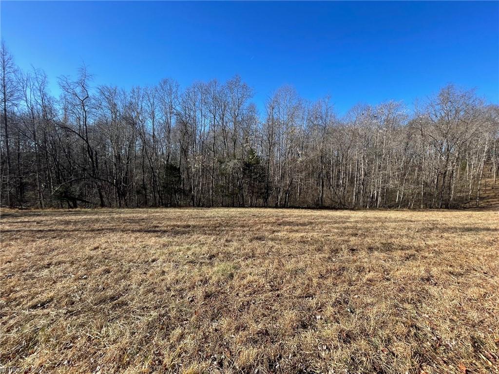 open field #1 Secluded in the middle of the property 