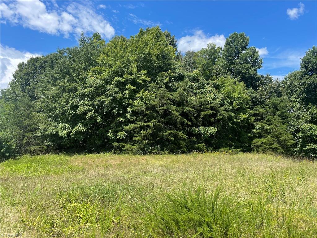0 Ray Wilson Road Sandy Ridge, NC 27046 - Photo 11 of 13 road frontage