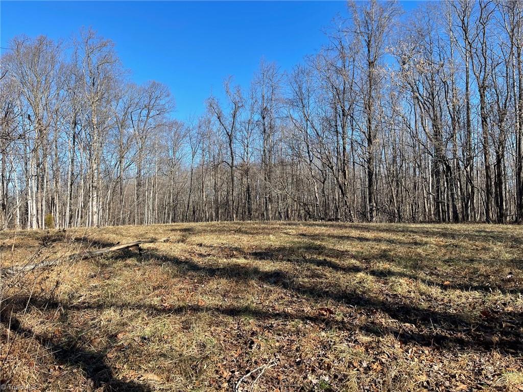 0 Ray Wilson Road Sandy Ridge, NC 27046 - Photo 13 of 13 open field #2 at the back of the property