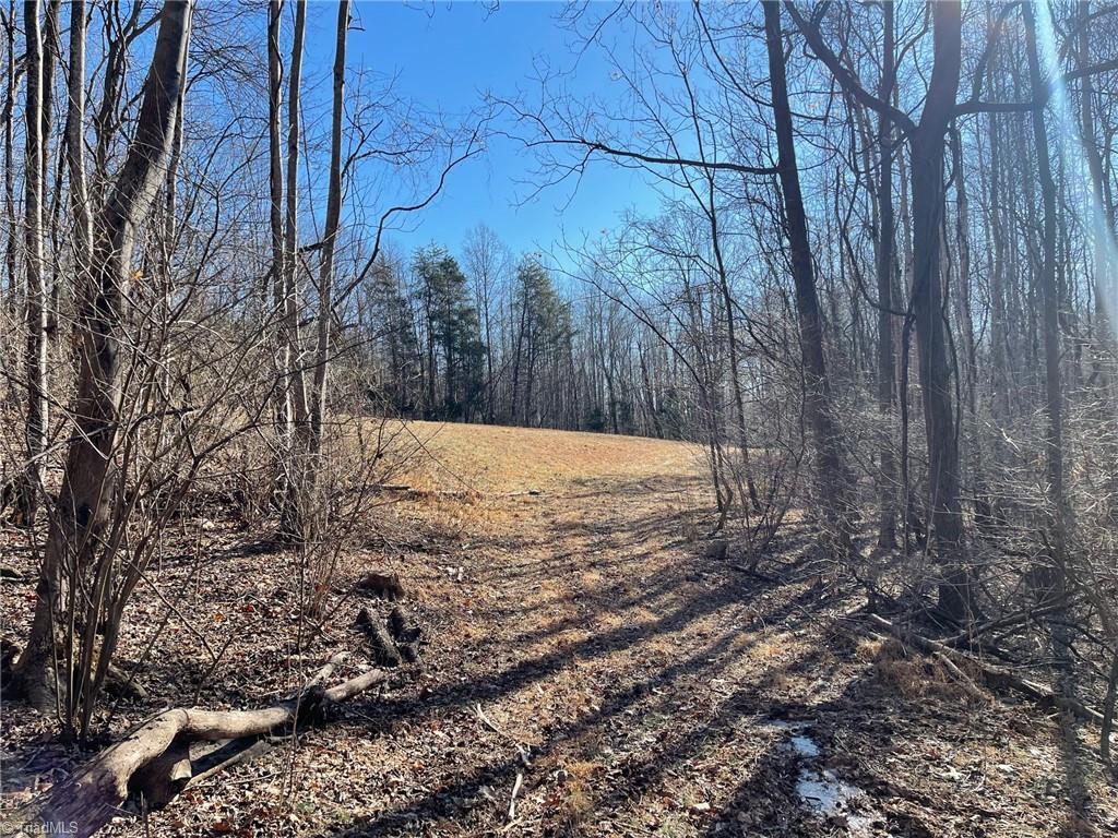 0 Ray Wilson Road Sandy Ridge, NC 27046 - Photo 2 of 13 farm road leading to open field #1