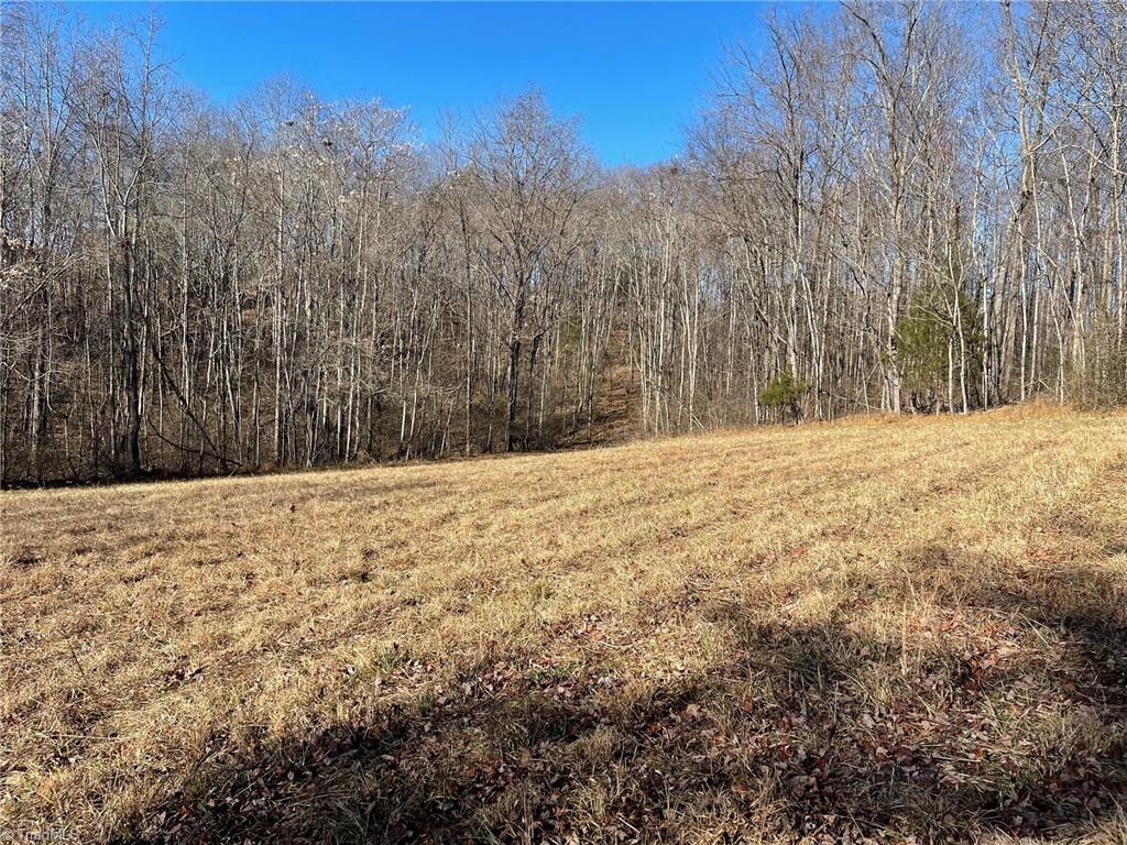 0 Ray Wilson Road Sandy Ridge, NC 27046 - Photo 3 of 13 open field #1