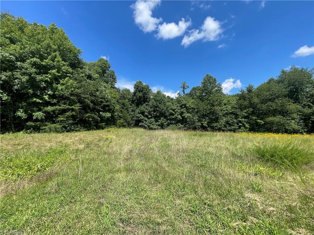 0 Ray Wilson Road Sandy Ridge, NC 27046 - Photo 4 of 13