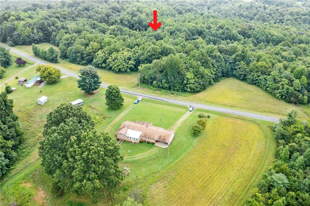 0 Ray Wilson Road Sandy Ridge, NC 27046 - Photo 5 of 13